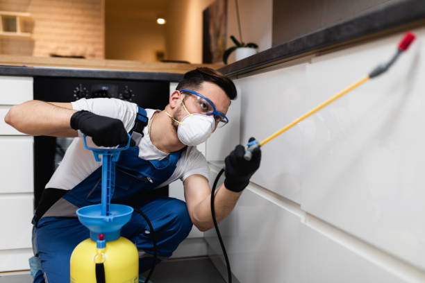 Best Flea Control Services  in Mill Valley, CA