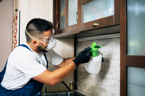 Best Mosquito Control Services  in Mill Valley, CA