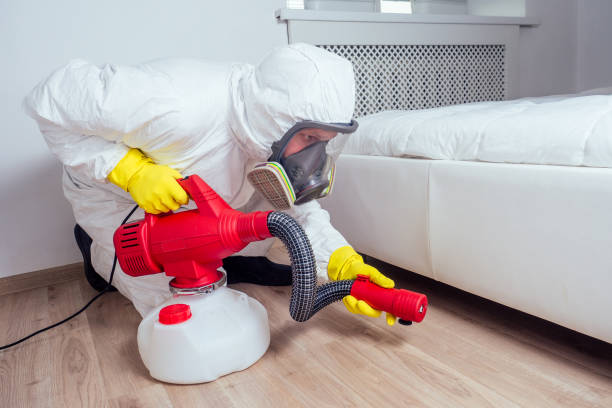 Best Best Pest Control Companies  in Mill Valley, CA