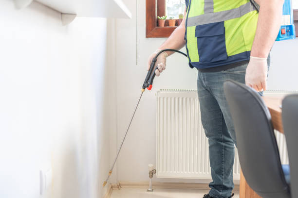 Best Pest Control for Homes  in Mill Valley, CA