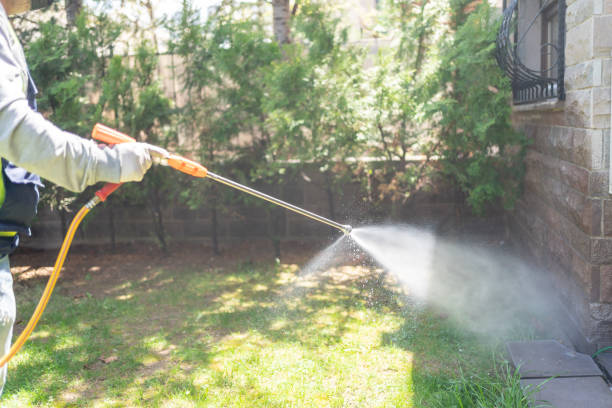 Mill Valley, CA Pest Control Company