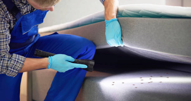 Best Emergency Pest Control  in Mill Valley, CA