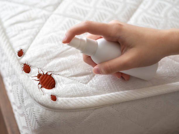 Best Best Pest Control Companies  in Mill Valley, CA