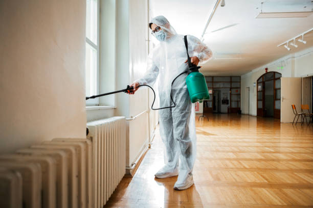 Best Best Pest Control Companies  in Mill Valley, CA