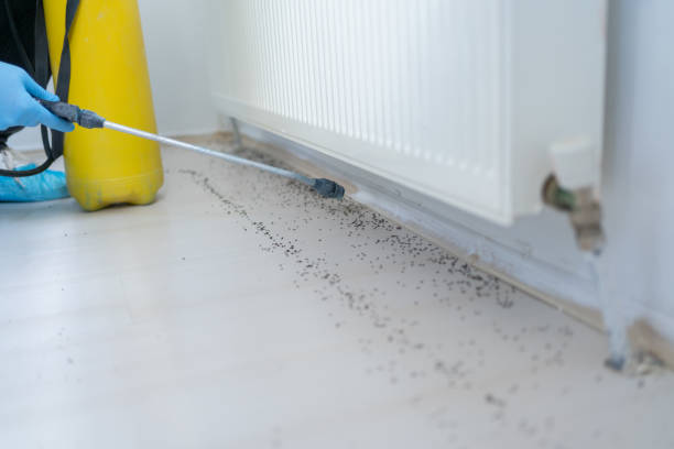 Best Cockroach Control Services  in Mill Valley, CA